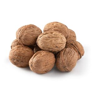Walnuts In Shell